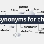 synonyms for chase
