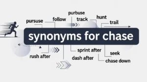 synonyms for chase