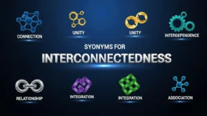 synonyms for interconnectedness