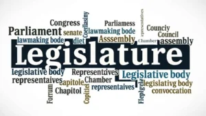 synonyms of legislature